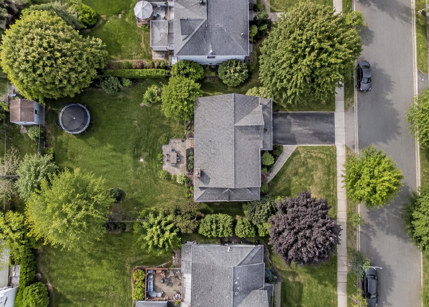 Top-down view of the lot and yard